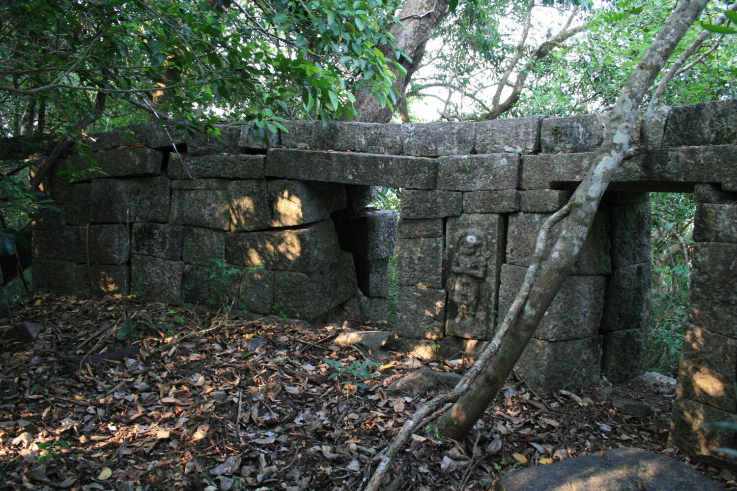 Actual site